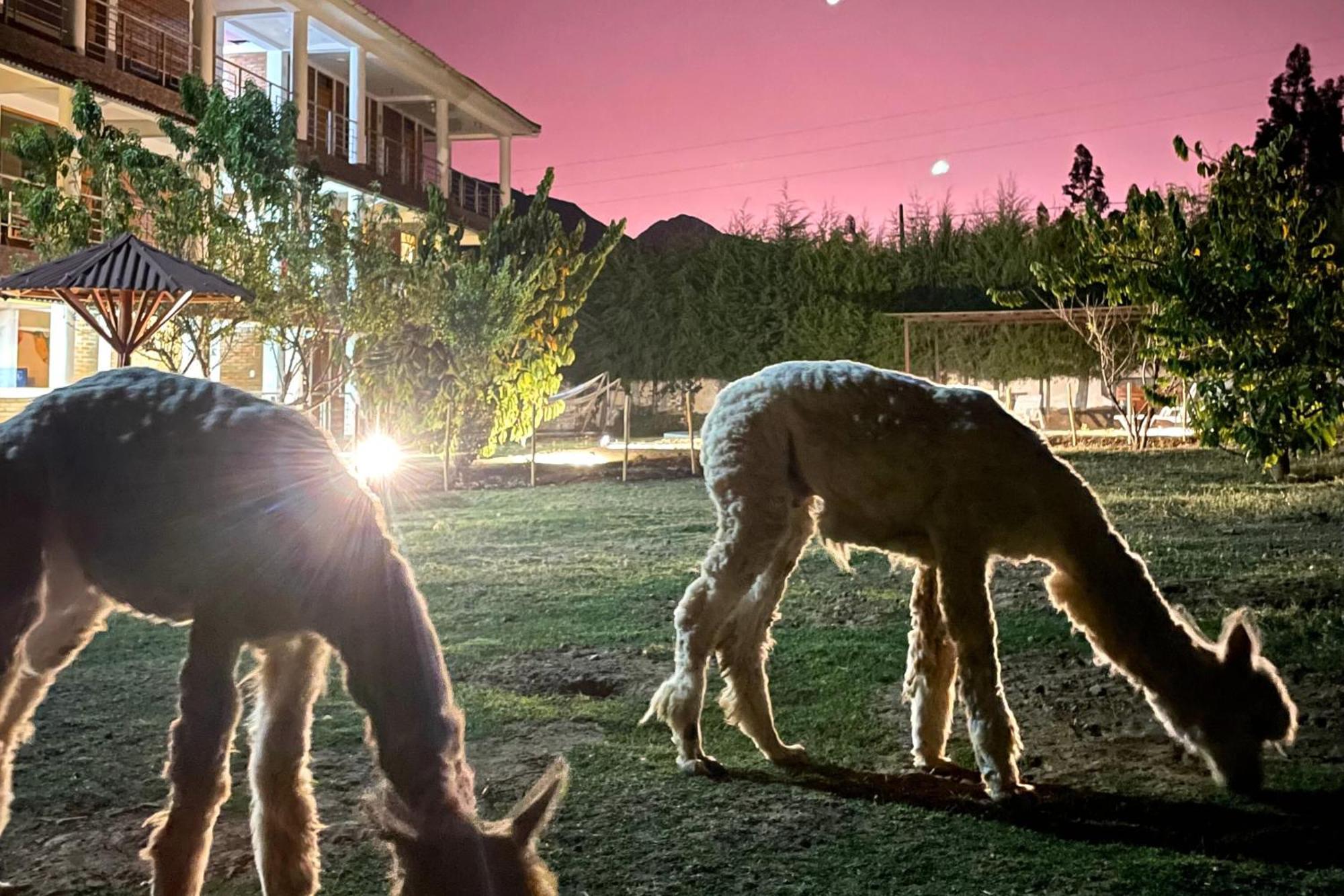 Carhuaz Runaway Eco Hotel מראה חיצוני תמונה